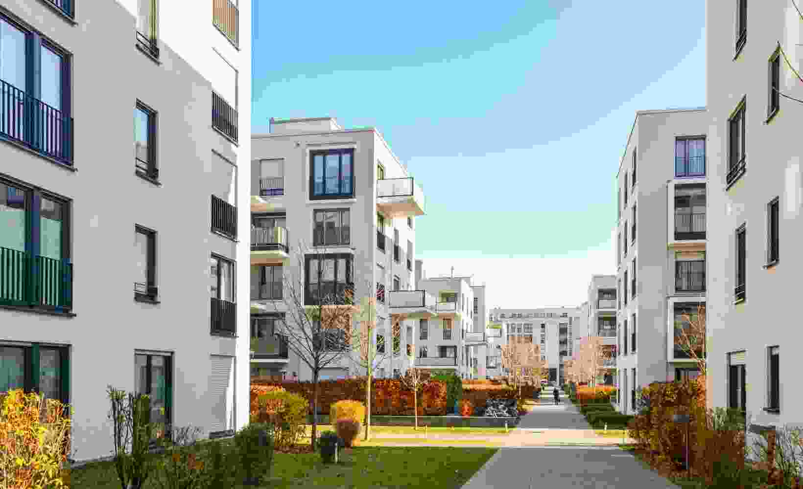 Listing Taxonomy Image