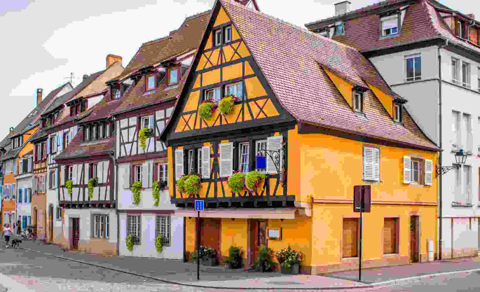 Listing Taxonomy Image